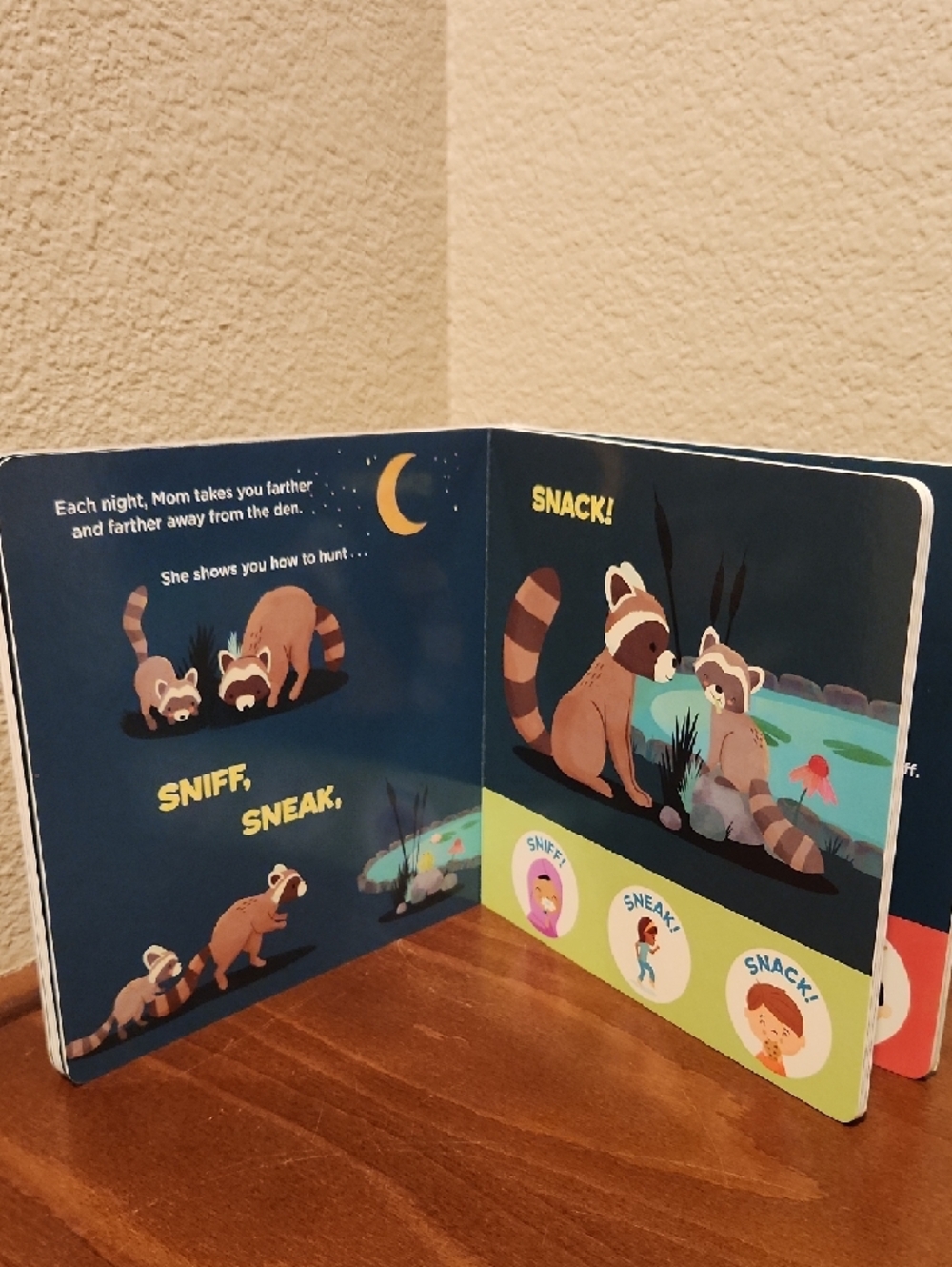 You Are a Raccoon! Board Book - Picture 3 of 3